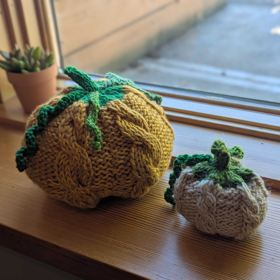 10/19- Cabled Pumpkins! - Sunday, October 19th, 10:00am-12:00pm
