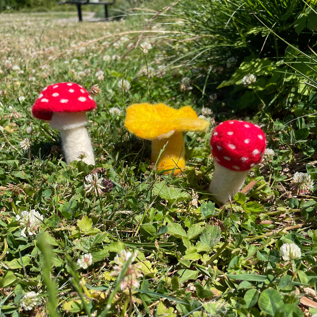 09/20- Needle Felted Mushrooms! - Saturday, September 20th, 1:00-3:00pm