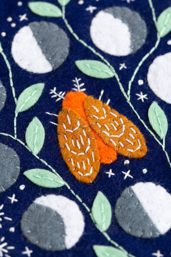 Pennant Felt Craft Kit