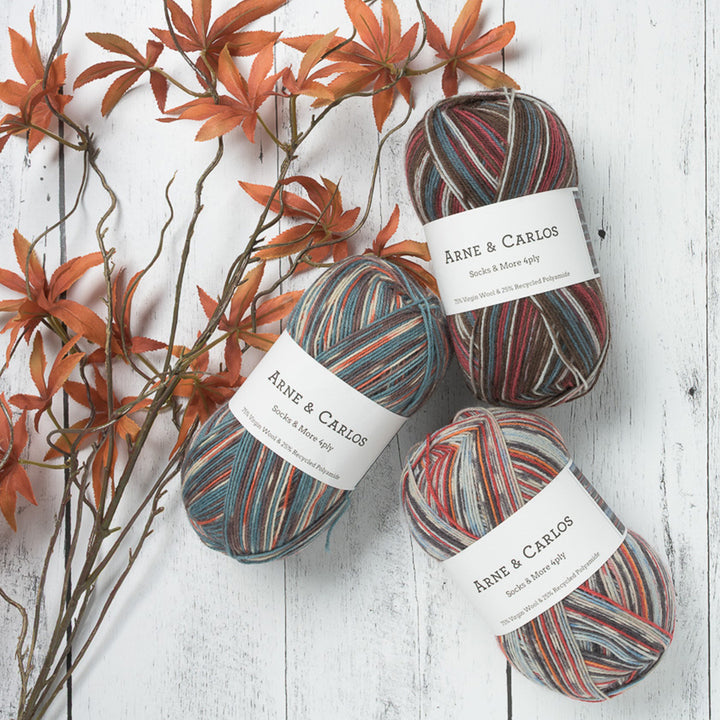 Arne & Carlos Sock and More 4-ply