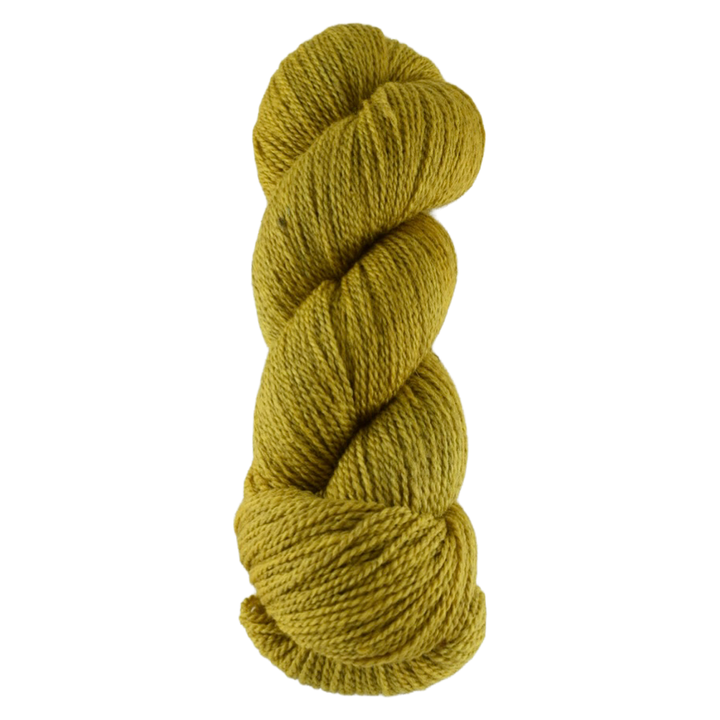 Starlight Sport Undertone