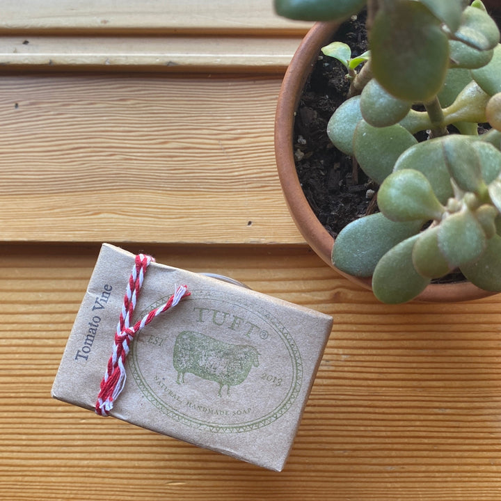 Box of Tuff soap with a plant on a wooden surface