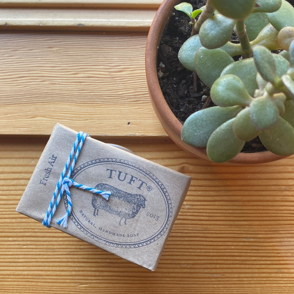 Box of Tuft soap with a plant on a wooden surface