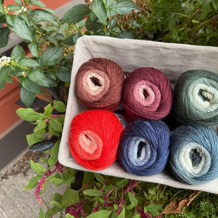 Sock Degradé 4 ply