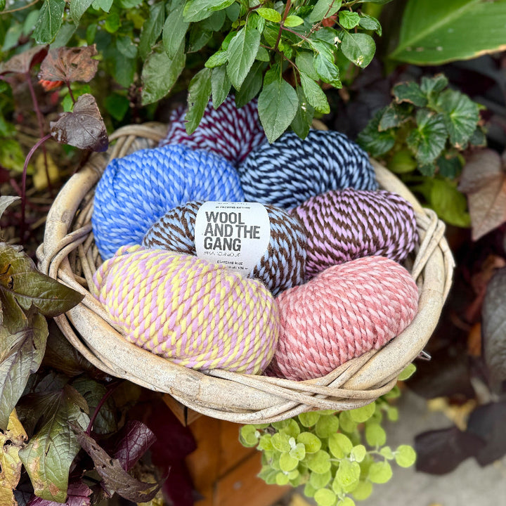 Alpachino Merino Twist