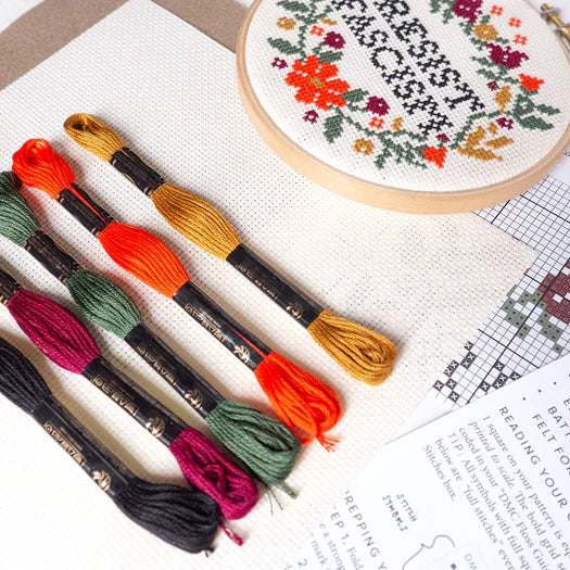 Resist Fascism Cross Stitch Kit - Junebug and Darlin