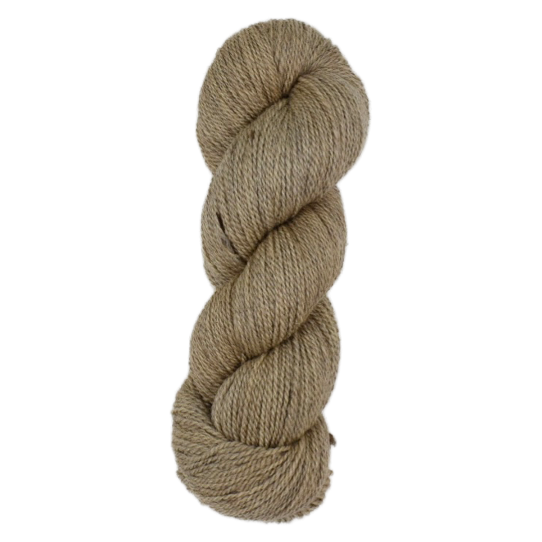 Starlight Sport Undertone