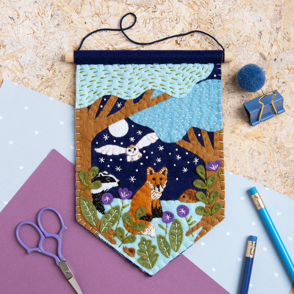 Pennant Felt Craft Kit