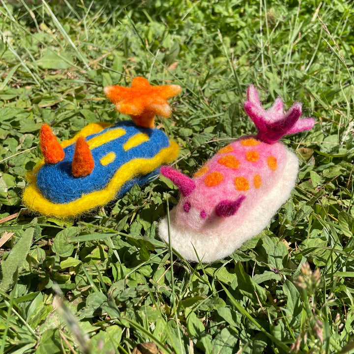 colorful needle felted nudibranchs resting on grass outdoors