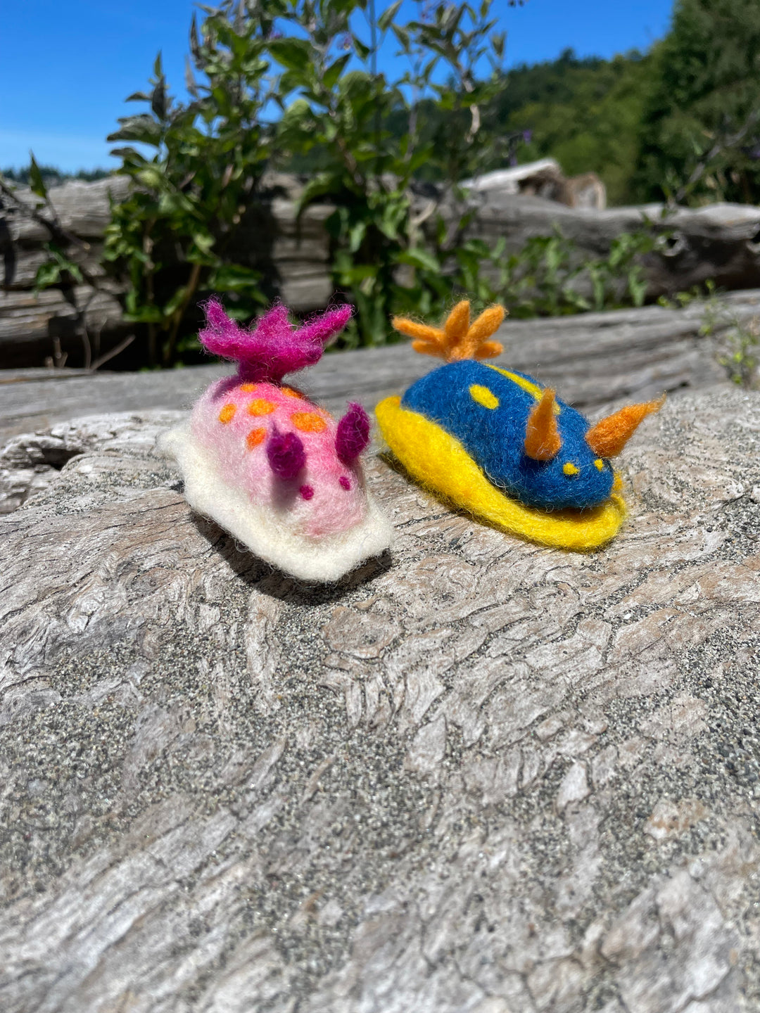 colorful needle felted nudibranchs resting on a log outdoors