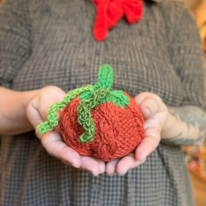 10/04 - Cabled Pumpkins! (Beginning Cables) - Sunday, October 4th, 10:00am-12:00pm